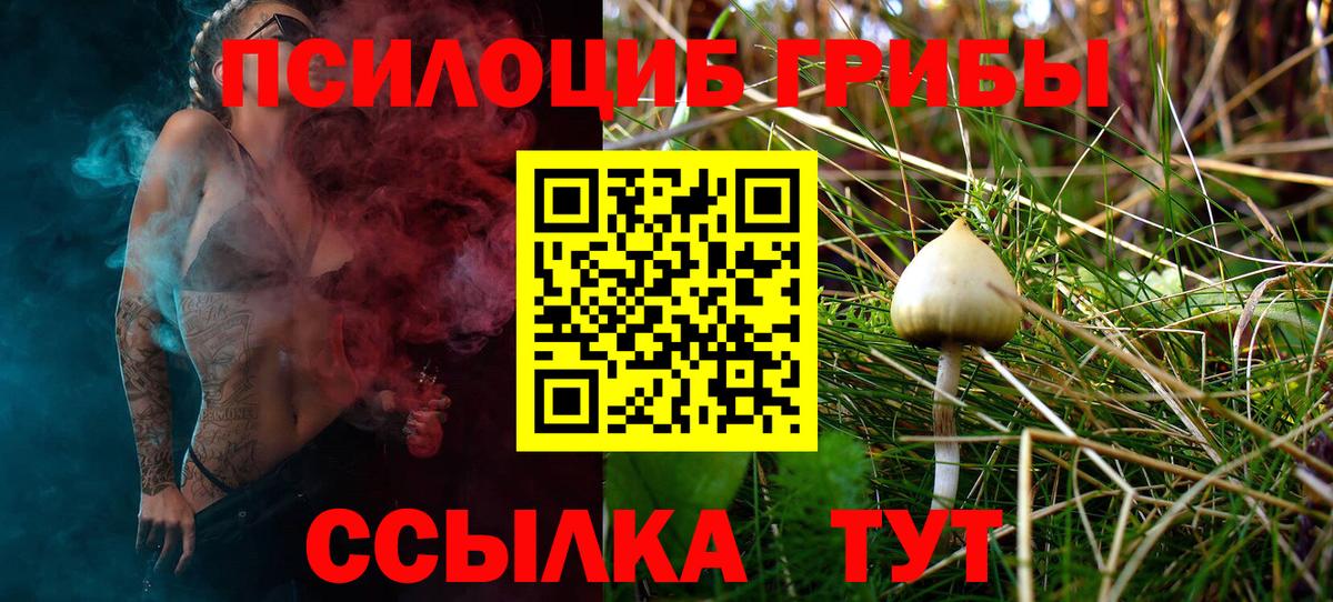 Минусинск  Галлюциногенные грибы мицелий  Вход с VPN 