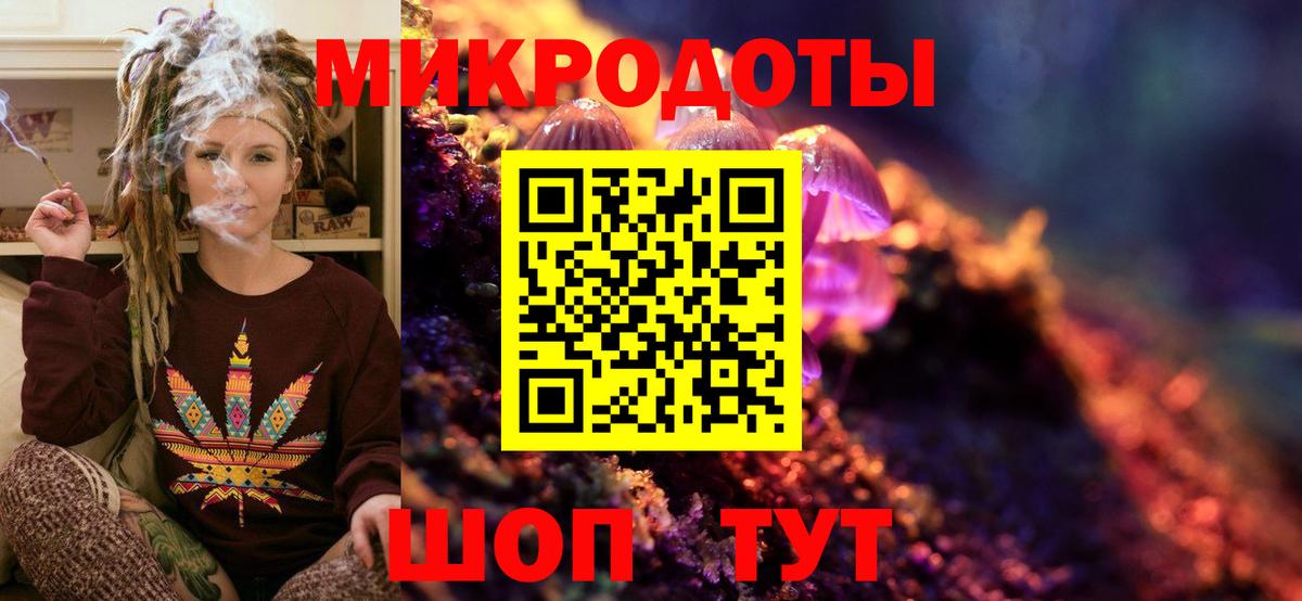 Псилоцибиновые грибы Cubensis Минусинск